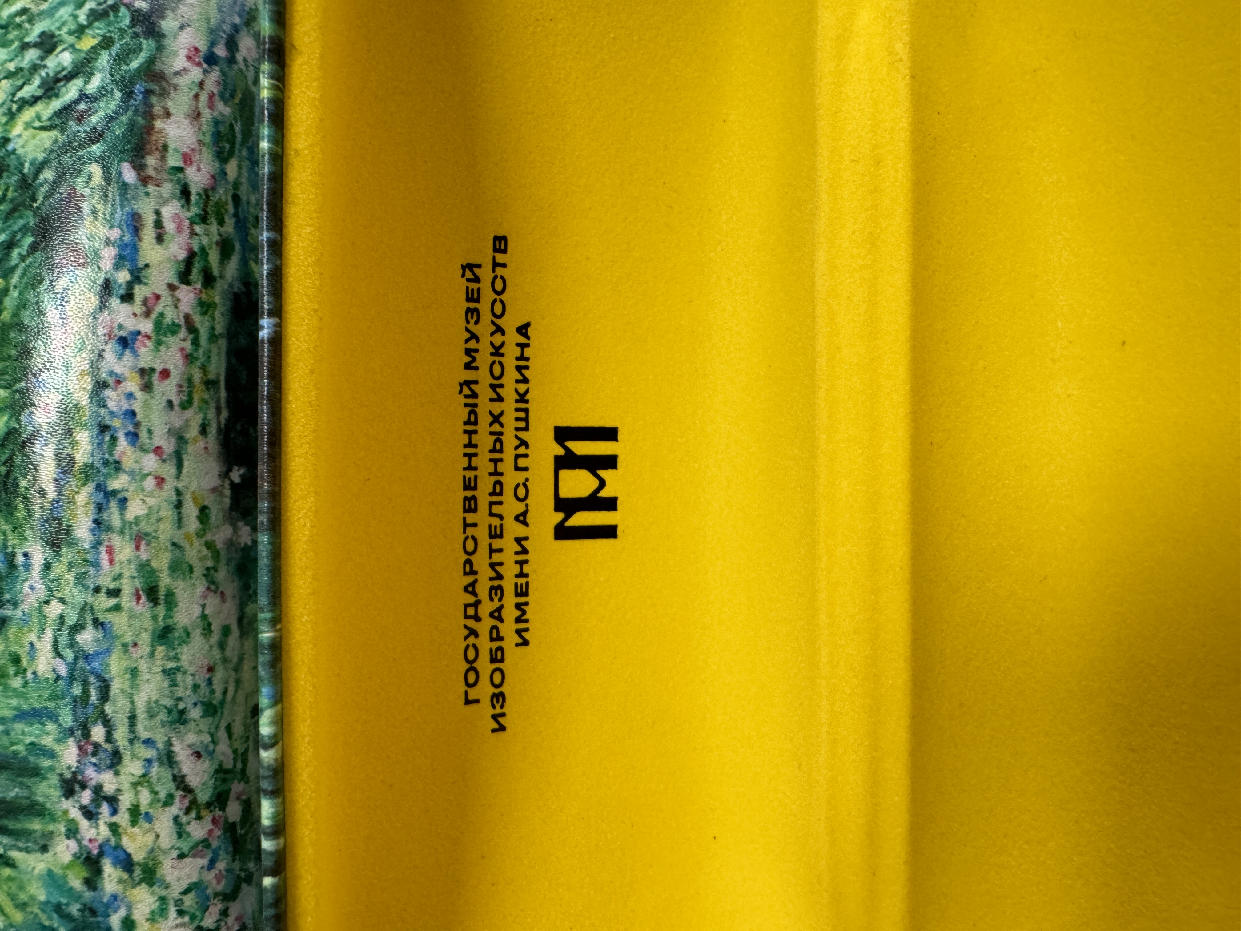 Очечник стандартный — Вариант 51