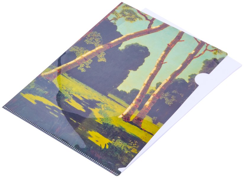 Папка уголок — Вариант 6