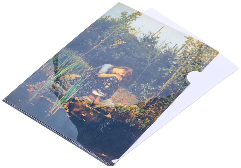 Папка уголок — Вариант 8