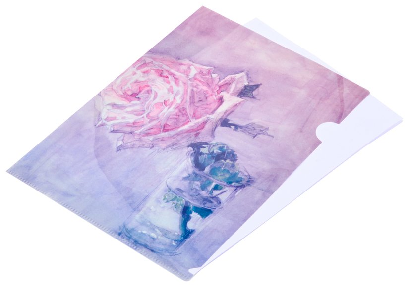 Папка уголок — Вариант 10